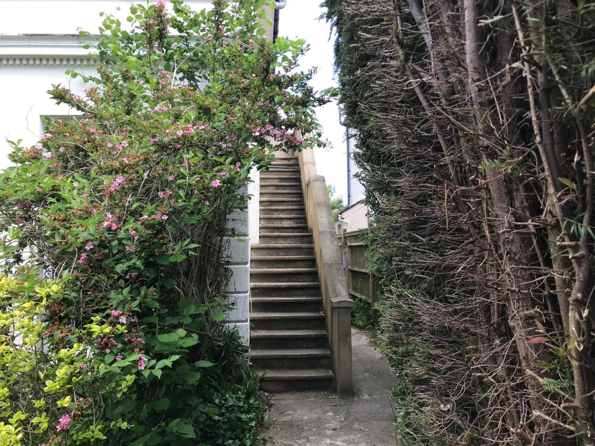Tree Tops Apartment In Tunbridge Wells Ngoại thất bức ảnh